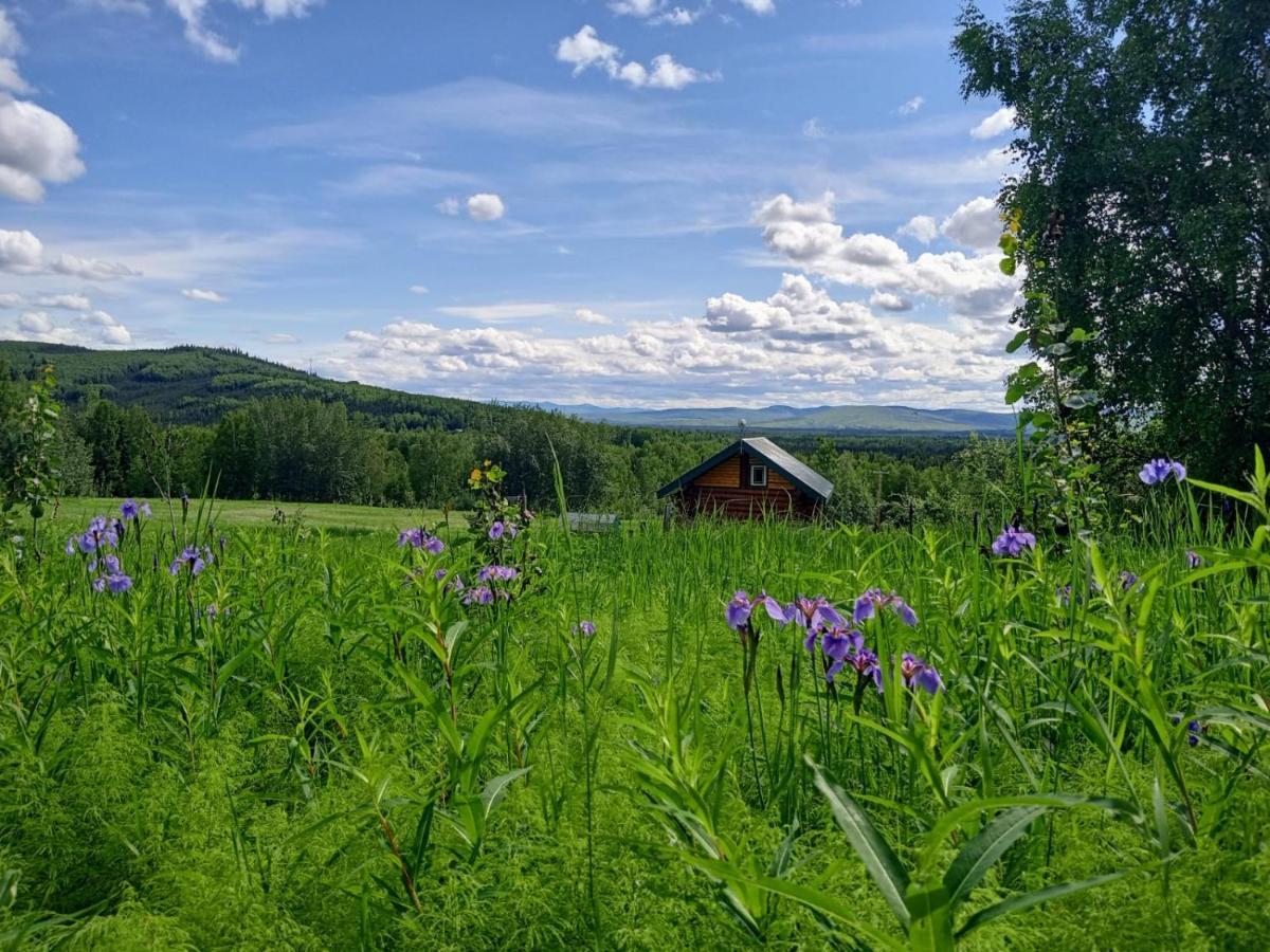 Secluded Log Cabin, 30 Min From Chena Hot Springs Pleasant Valley Экстерьер фото